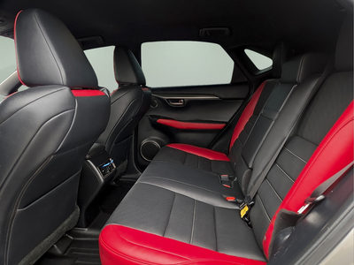 2021 Lexus NX 300 F Sport