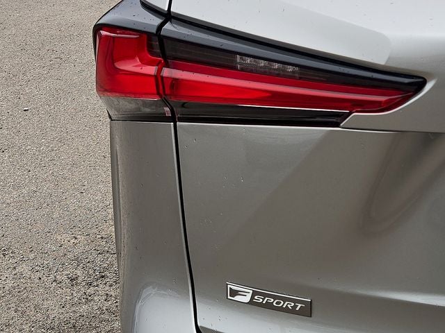 2021 Lexus NX 300 F Sport