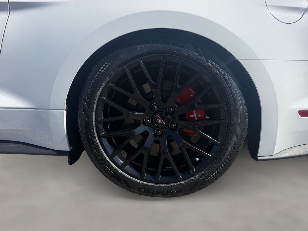 2019 Ford Mustang GT Premium STAGE 2 ROUSH